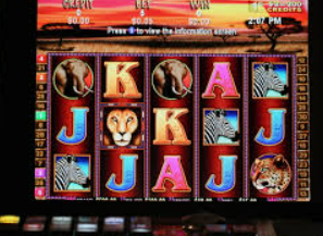 非凡下载app电脑免费版